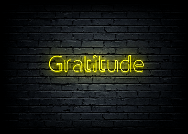 Led neono iškaba "Gratitude" - Image 2