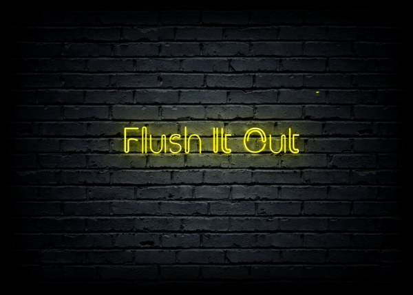 Led neono iškaba "Flush It Out"