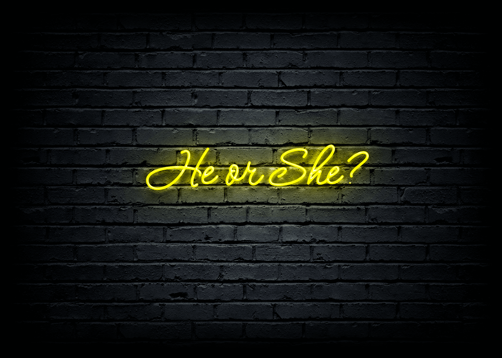 Led neono dekoracija "He or She?"
