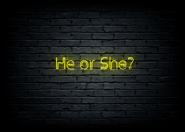 Led neono iškaba "He or She?" - Image 2