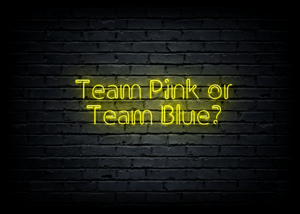 Led neono iškaba "Team Pink or Team Blue?"