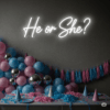 Led neono dekoracija "He or She?"