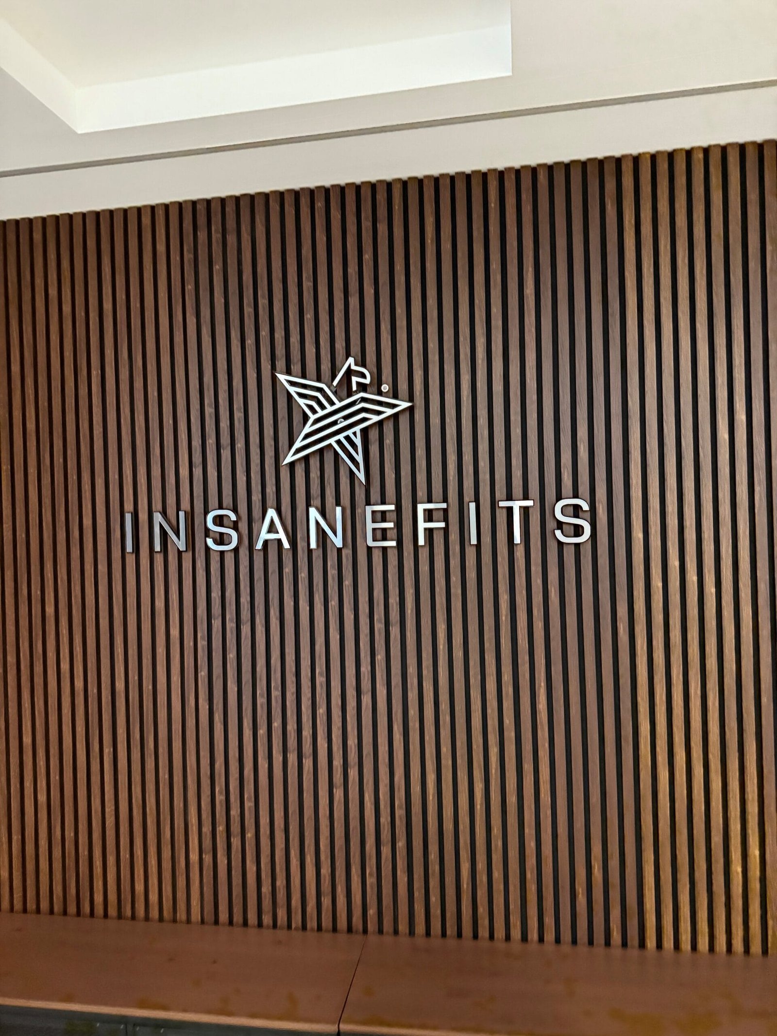 Insanefits Aliumininės raidės su LED apšvietimu ledneon.lt