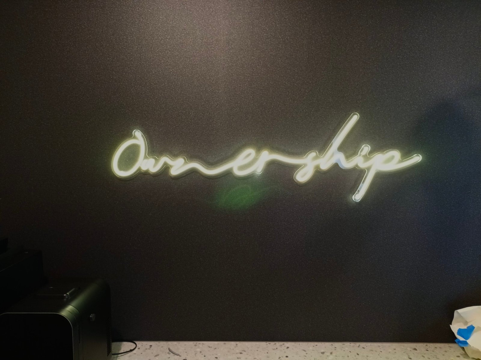 ownership LED neoninis užrašas iškaba ledneon.lt