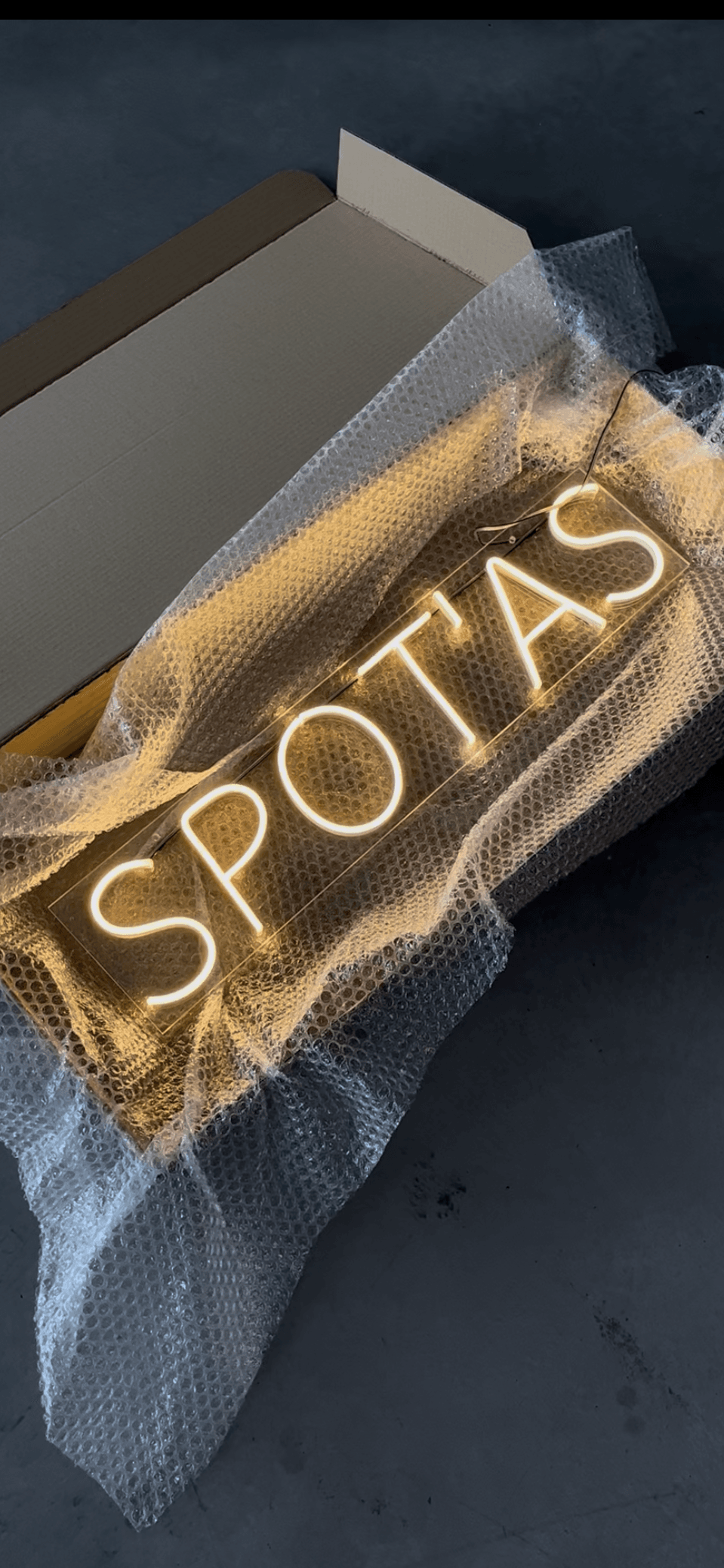 spot'as LED logotipas LED neoninis užrašas iškaba ledneon.lt
