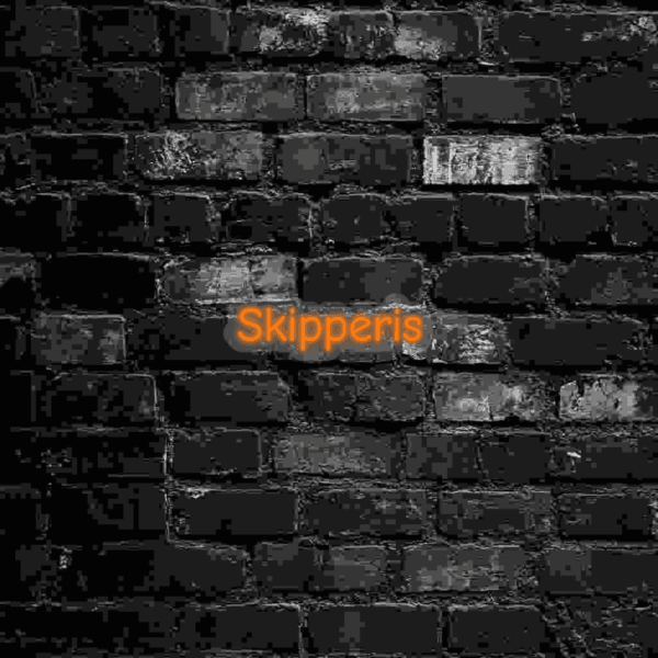 Skipperis