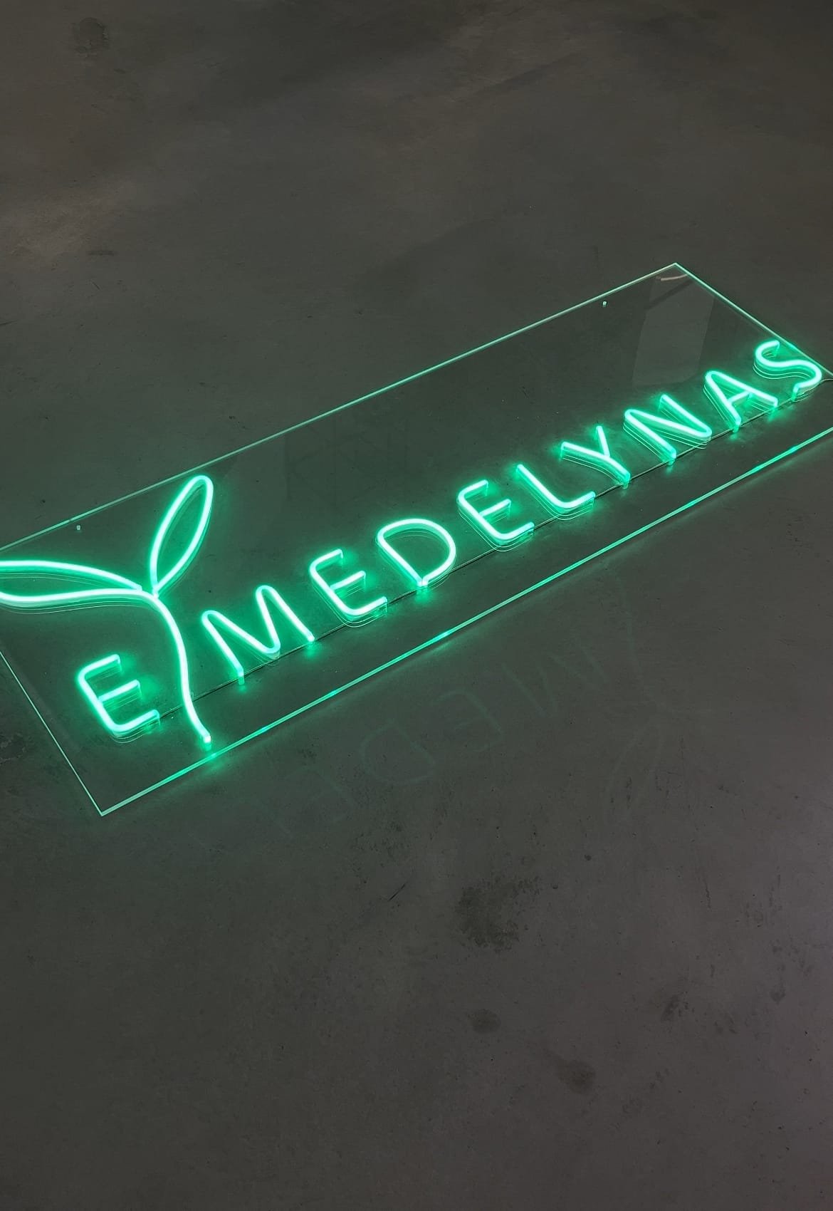 LED neon paverstas logo