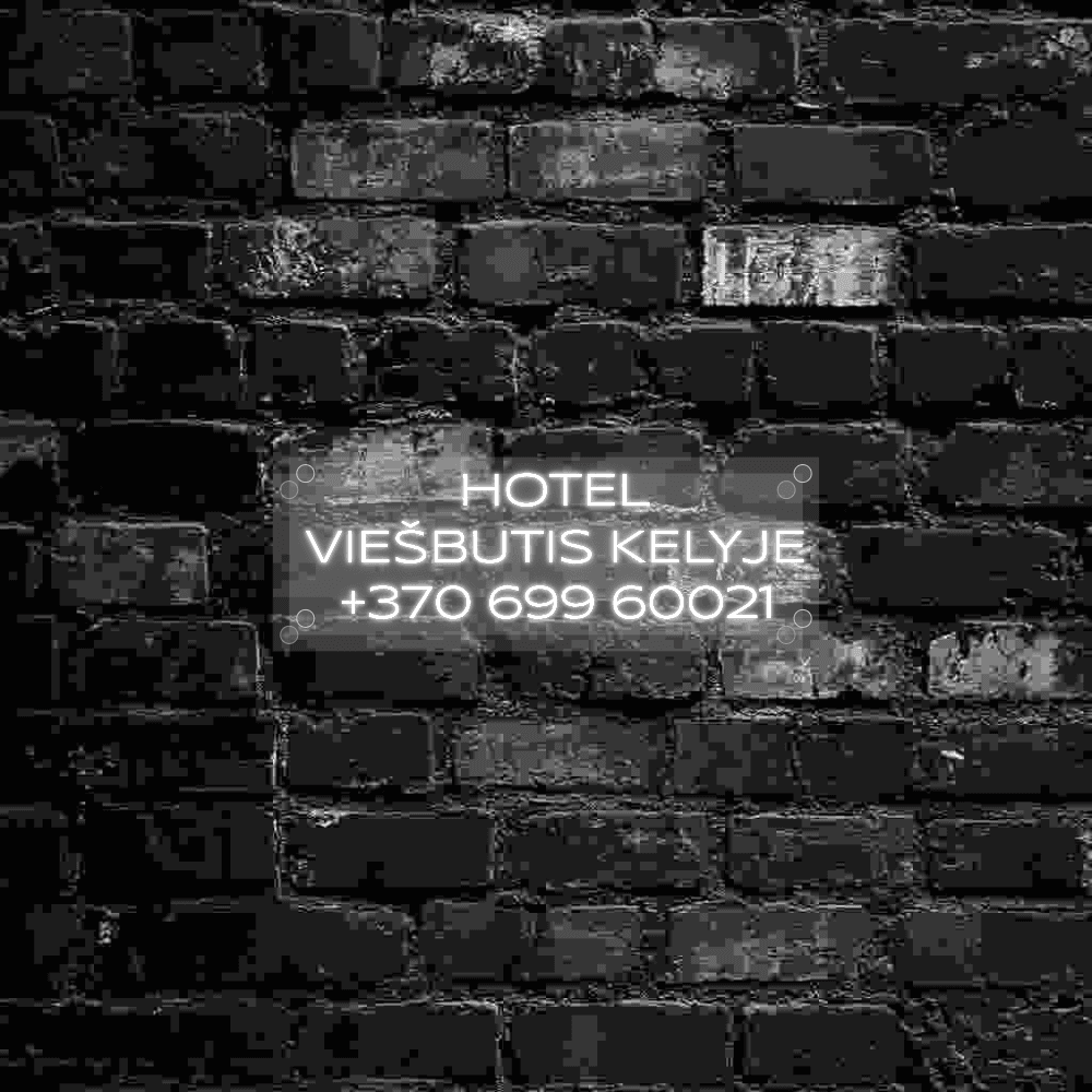 HOTEL
VIEŠBUTIS K...