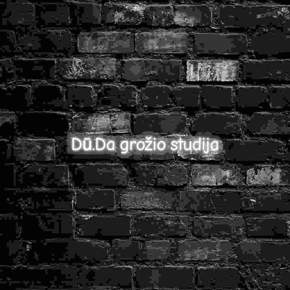Dū.Da grožio stud...