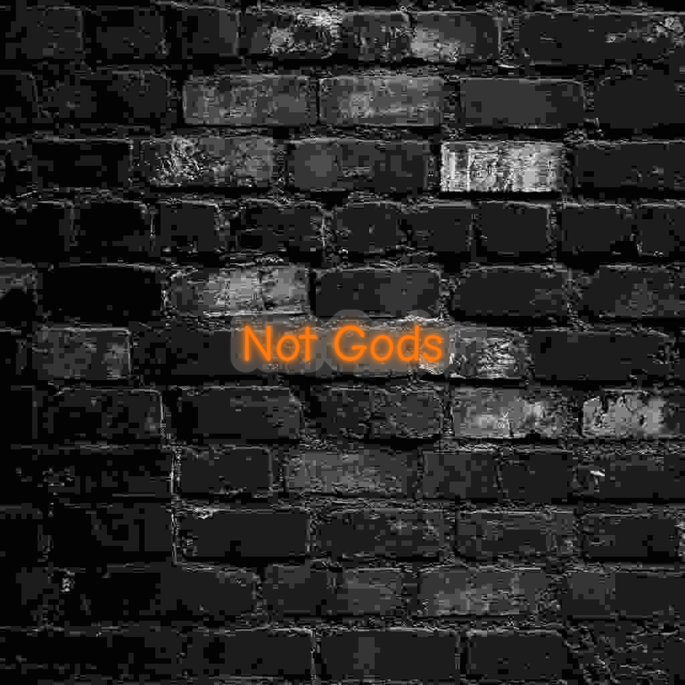 Not Gods