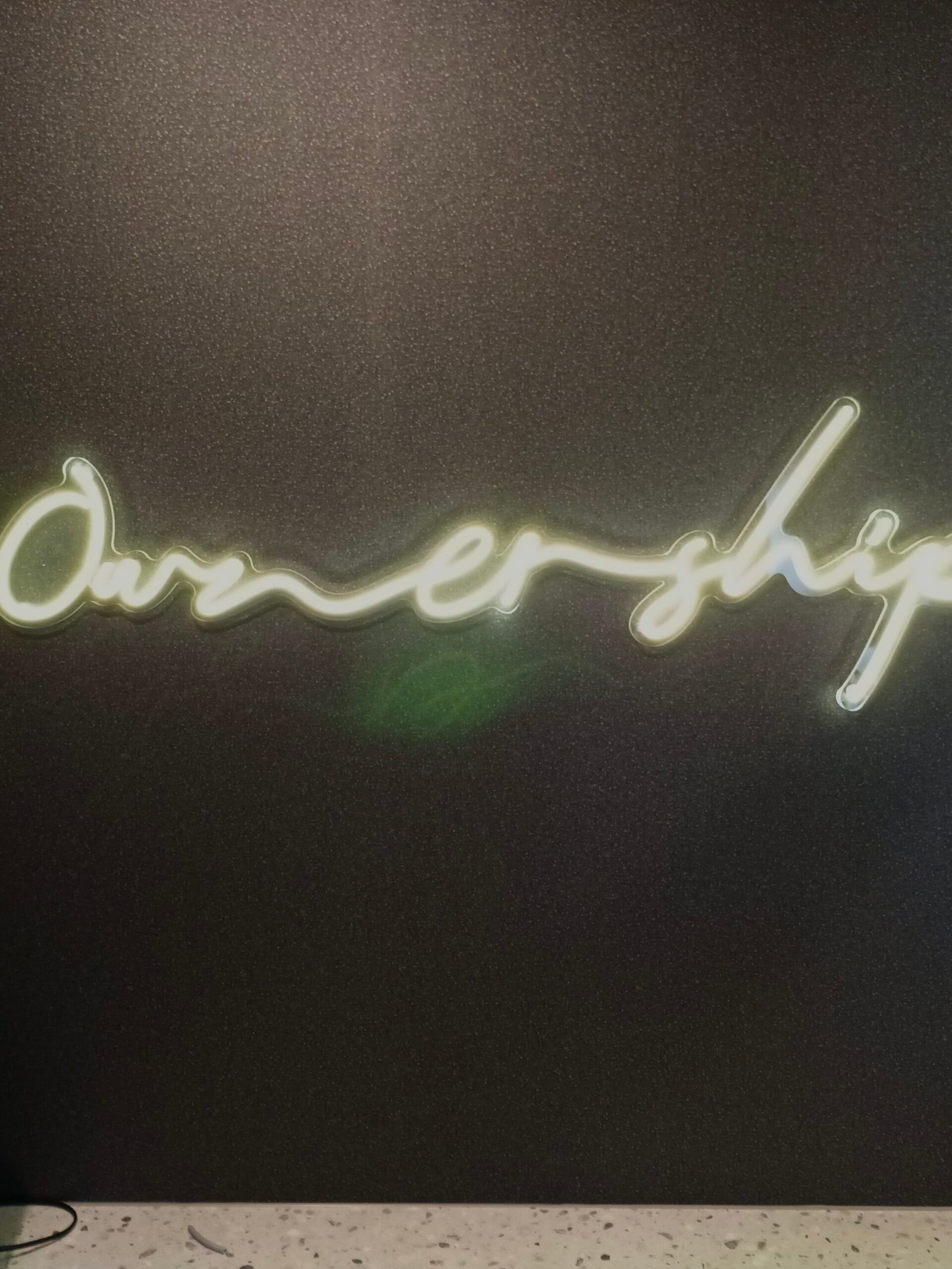 ownership LED neoninis užrašas iškaba ledneon.lt