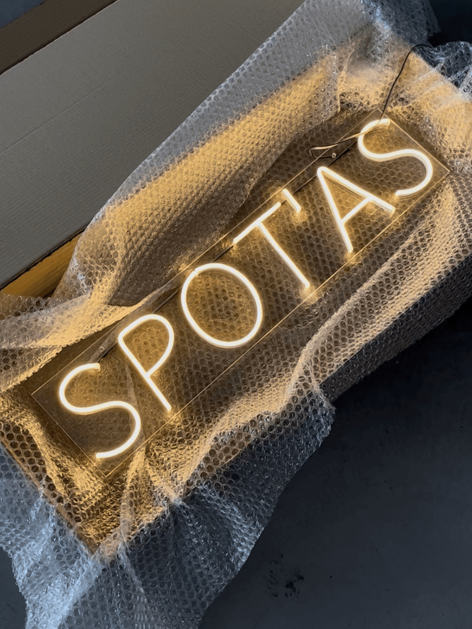 spot'as LED logotipas LED neoninis užrašas iškaba ledneon.lt