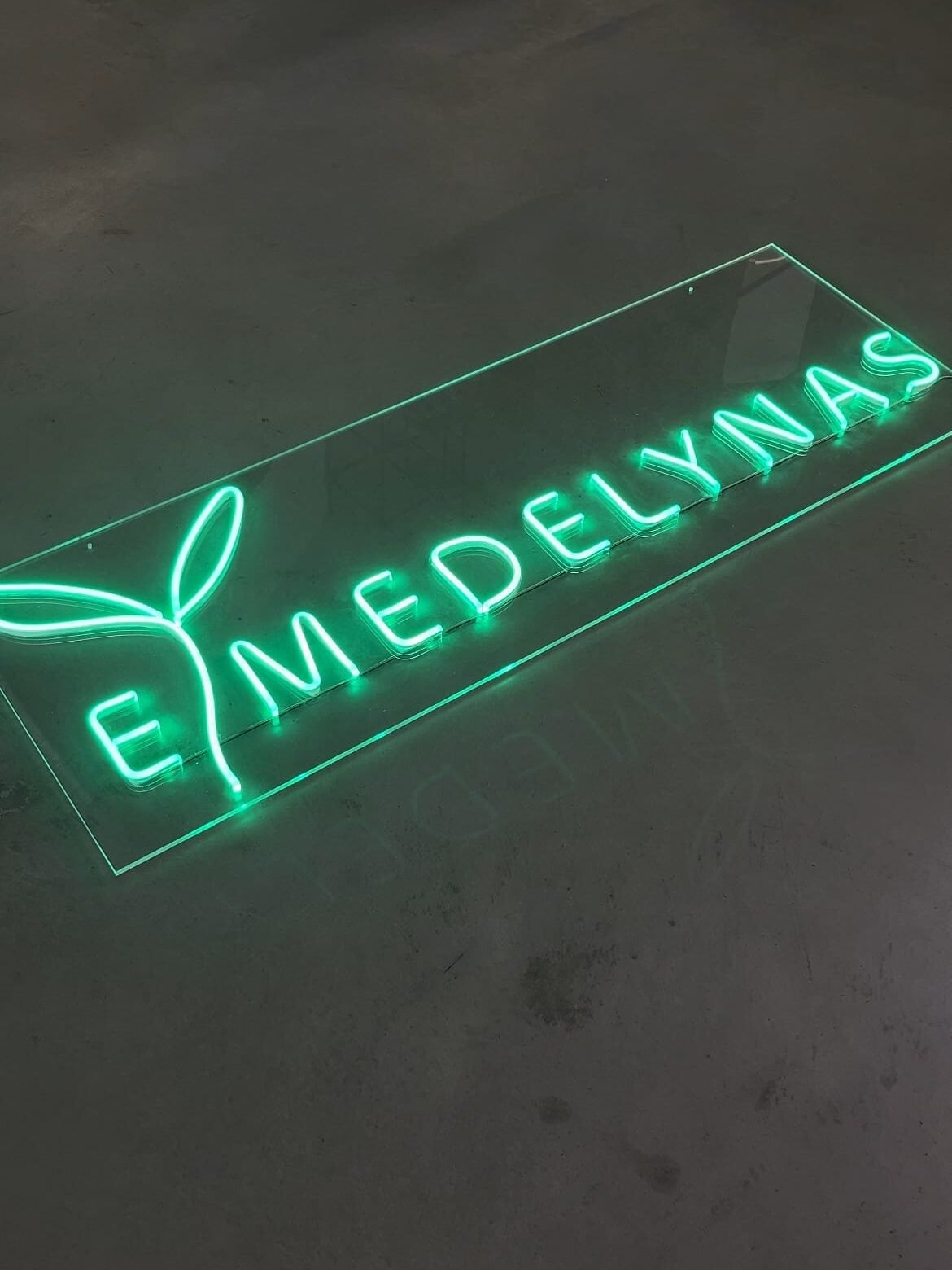LED neon paverstas logo