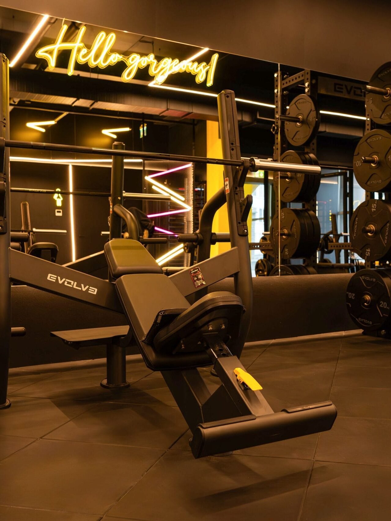 Ledneon.lt lemon gym LED neonai